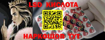 PSILOCYBIN Новозыбков