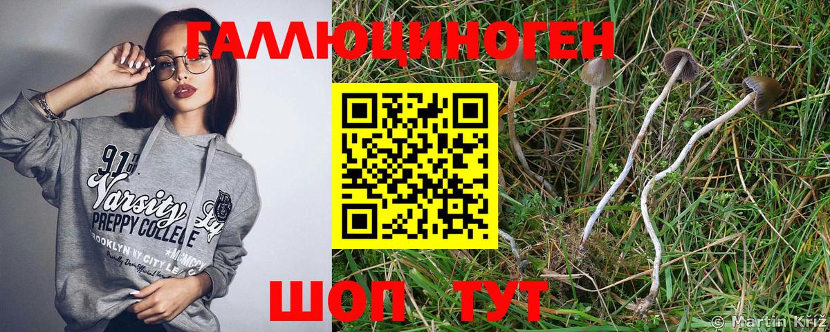 Псилоцибиновые грибы мицелий  Вход с VPN  Ханты-Мансийск 